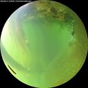 ./images/calvert/underwater/20260811/underwater20260811_192002M.jpg