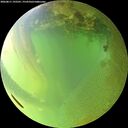 ./images/calvert/underwater/20260811/underwater20260811_192501M.jpg
