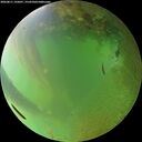 ./images/calvert/underwater/20260811/underwater20260811_195001M.jpg