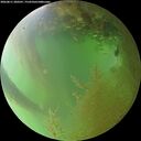 ./images/calvert/underwater/20260811/underwater20260811_200501M.jpg