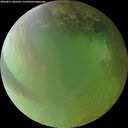./images/calvert/underwater/20260811/underwater20260811_203502M.jpg