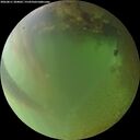 ./images/calvert/underwater/20260811/underwater20260811_204002M.jpg