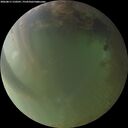 ./images/calvert/underwater/20260811/underwater20260811_210501M.jpg