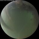 ./images/calvert/underwater/20260811/underwater20260811_211502M.jpg