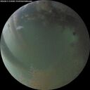 ./images/calvert/underwater/20260811/underwater20260811_212001M.jpg