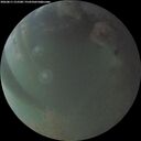 ./images/calvert/underwater/20260811/underwater20260811_212501M.jpg