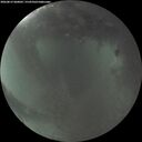 ./images/calvert/underwater/20260812/underwater20260812_060002M.jpg