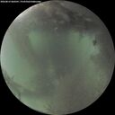 ./images/calvert/underwater/20260812/underwater20260812_060501M.jpg