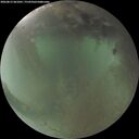 ./images/calvert/underwater/20260812/underwater20260812_061001M.jpg