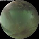./images/calvert/underwater/20260812/underwater20260812_061502M.jpg