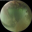 ./images/calvert/underwater/20260812/underwater20260812_063501M.jpg
