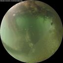 ./images/calvert/underwater/20260812/underwater20260812_064501M.jpg