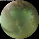 ./images/calvert/underwater/20260812/underwater20260812_065001M.jpg