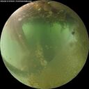 ./images/calvert/underwater/20260812/underwater20260812_070501M.jpg
