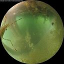 ./images/calvert/underwater/20260812/underwater20260812_071501M.jpg