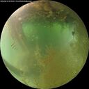 ./images/calvert/underwater/20260812/underwater20260812_072501M.jpg