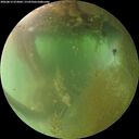 ./images/calvert/underwater/20260812/underwater20260812_073001M.jpg
