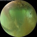 ./images/calvert/underwater/20260812/underwater20260812_073501M.jpg