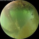 ./images/calvert/underwater/20260812/underwater20260812_074001M.jpg