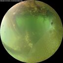 ./images/calvert/underwater/20260812/underwater20260812_074501M.jpg
