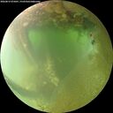 ./images/calvert/underwater/20260812/underwater20260812_075001M.jpg