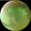 ./images/calvert/underwater/20260812/underwater20260812_075501M.jpg