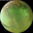 ./images/calvert/underwater/20260812/underwater20260812_080002M.jpg