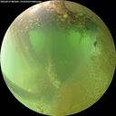 ./images/calvert/underwater/20260812/underwater20260812_082001M.jpg