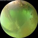 ./images/calvert/underwater/20260812/underwater20260812_082501M.jpg