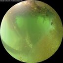 ./images/calvert/underwater/20260812/underwater20260812_083501M.jpg