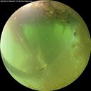 ./images/calvert/underwater/20260812/underwater20260812_084001M.jpg
