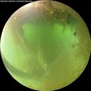 ./images/calvert/underwater/20260812/underwater20260812_084501M.jpg
