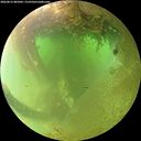 ./images/calvert/underwater/20260812/underwater20260812_085001M.jpg