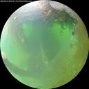 ./images/calvert/underwater/20260812/underwater20260812_085501M.jpg