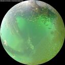 ./images/calvert/underwater/20260812/underwater20260812_091001M.jpg