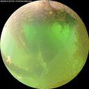 ./images/calvert/underwater/20260812/underwater20260812_091501M.jpg
