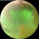 ./images/calvert/underwater/20260812/underwater20260812_092001M.jpg