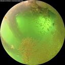 ./images/calvert/underwater/20260812/underwater20260812_094501M.jpg