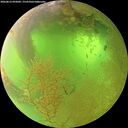 ./images/calvert/underwater/20260812/underwater20260812_095002M.jpg