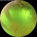 ./images/calvert/underwater/20260812/underwater20260812_095501M.jpg