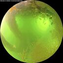 ./images/calvert/underwater/20260812/underwater20260812_100001M.jpg