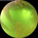 ./images/calvert/underwater/20260812/underwater20260812_101001M.jpg