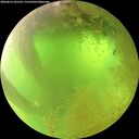 ./images/calvert/underwater/20260812/underwater20260812_101502M.jpg