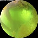 ./images/calvert/underwater/20260812/underwater20260812_102002M.jpg