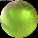 ./images/calvert/underwater/20260812/underwater20260812_102501M.jpg