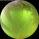 ./images/calvert/underwater/20260812/underwater20260812_103002M.jpg