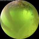 ./images/calvert/underwater/20260812/underwater20260812_103501M.jpg