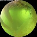 ./images/calvert/underwater/20260812/underwater20260812_104001M.jpg