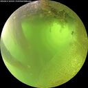 ./images/calvert/underwater/20260812/underwater20260812_105501M.jpg