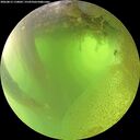 ./images/calvert/underwater/20260812/underwater20260812_110001M.jpg